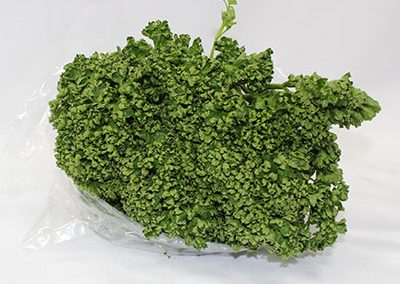 Curly Parsley