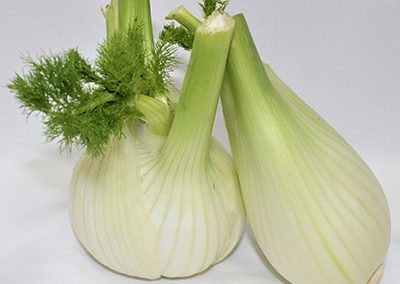 Fennel