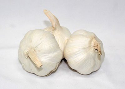 Garlic bulb