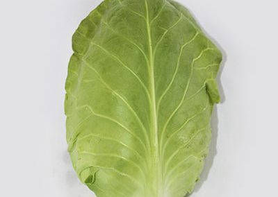 Cabbage Hispi