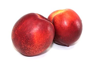 Nectarine