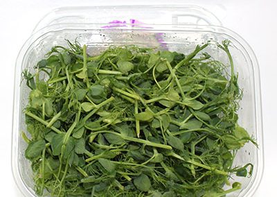 Peashoots