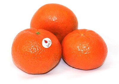 Satsuma