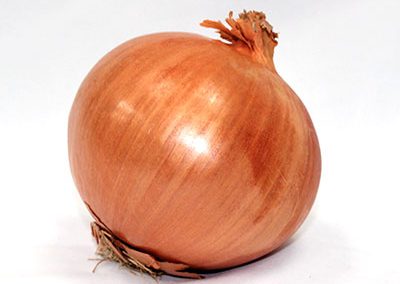 Onion Spanish