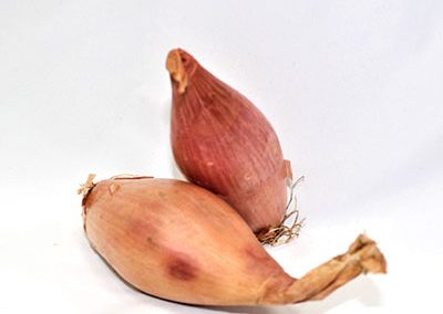 Banana Shallot