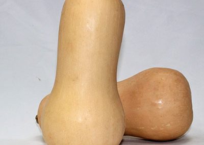 Butternut Squash