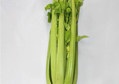Celery