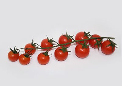 Tomato Cherita - string