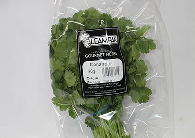 Coriander